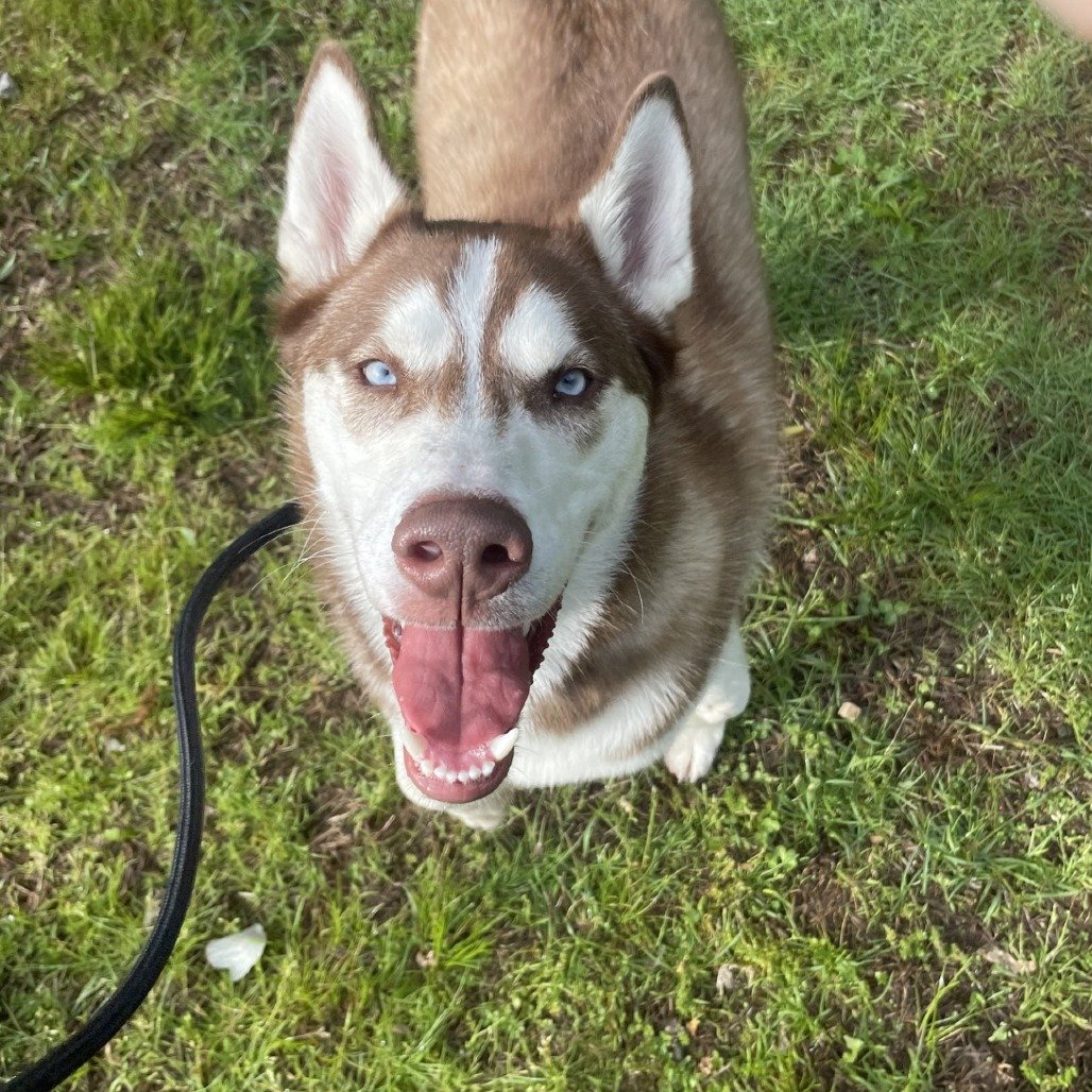 Ryker ELM-A-5755.jpg