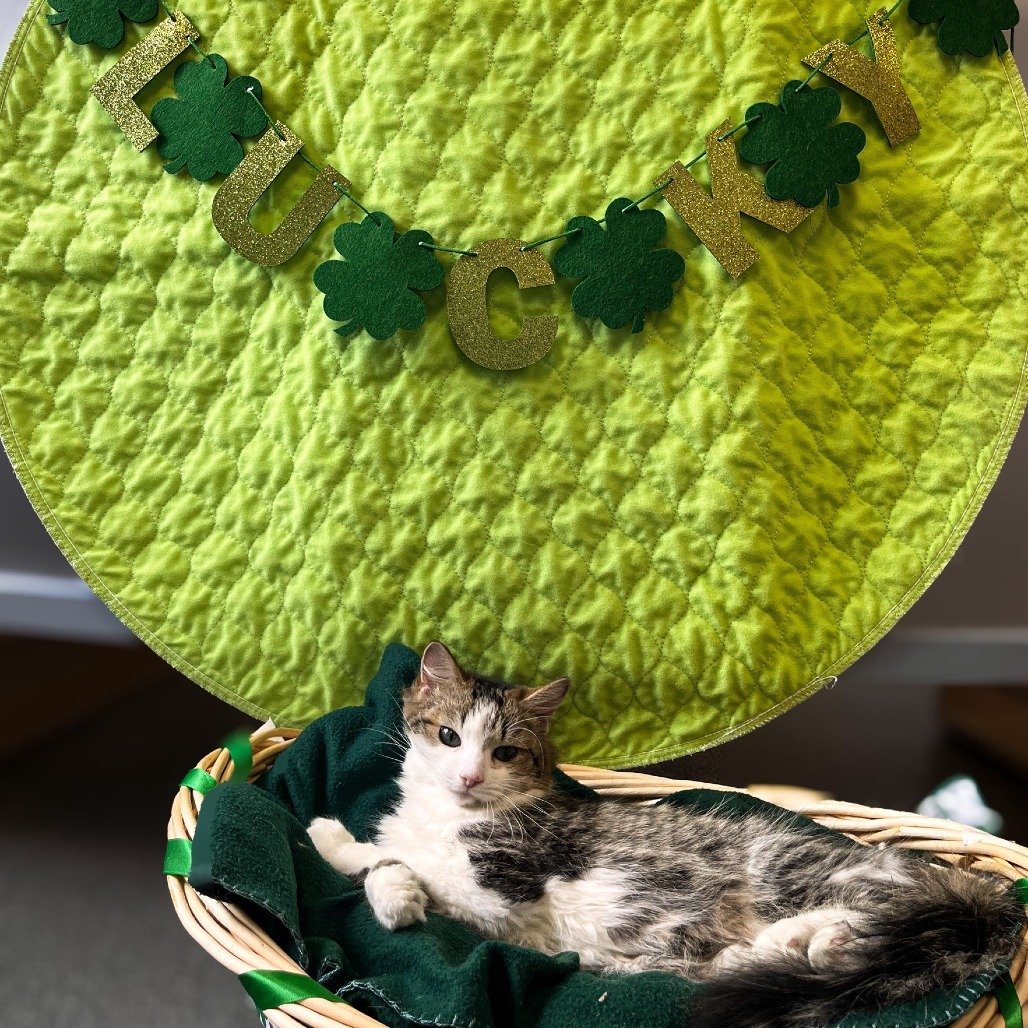 Patrick ELM-A-5486.jpg