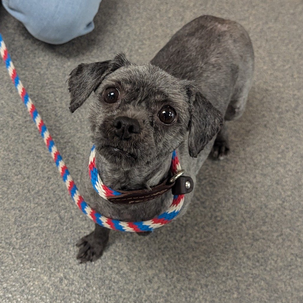 Princess ELM-A-5552.jpg