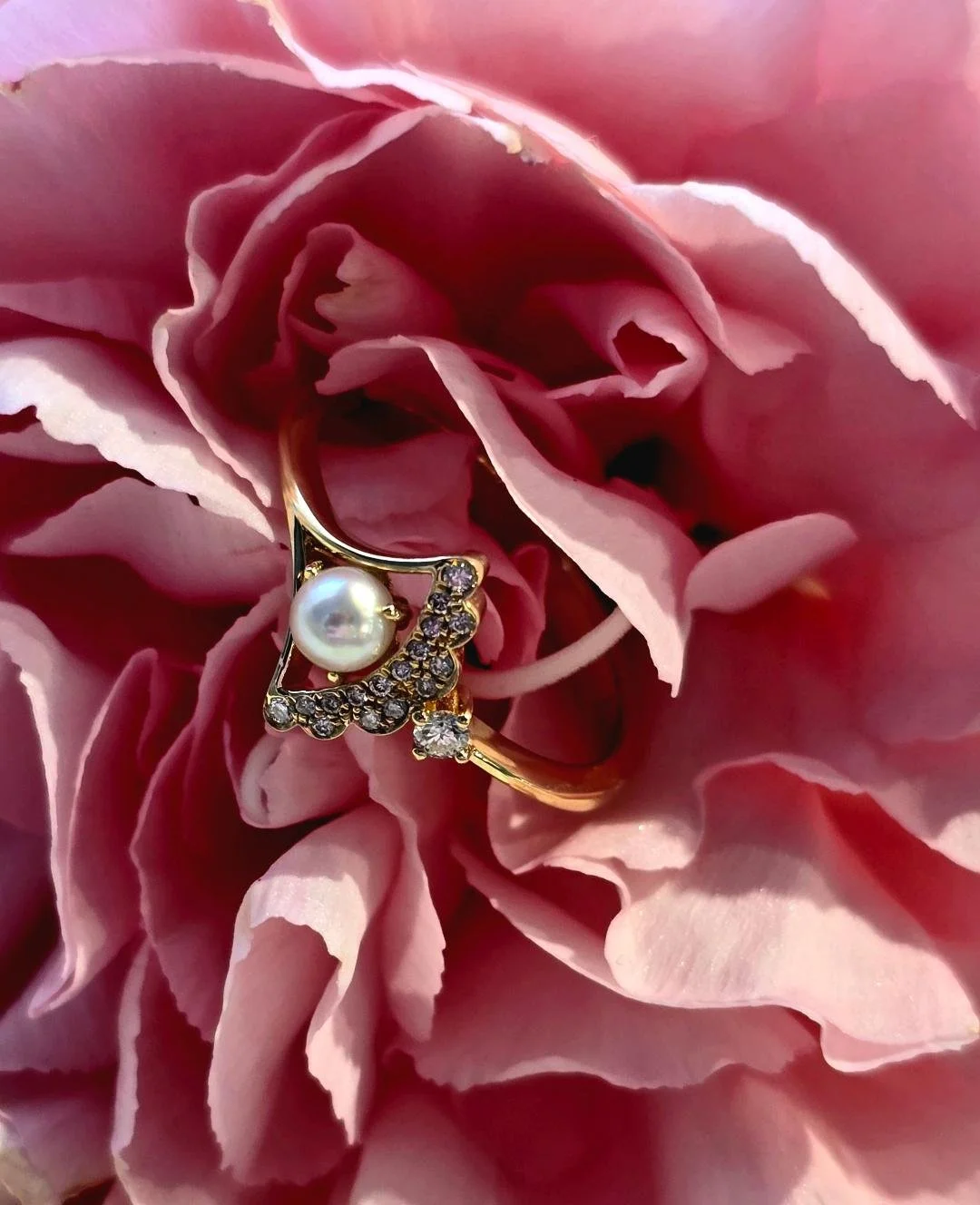 Angled view of yellow gold pearl ring in a pink carnation