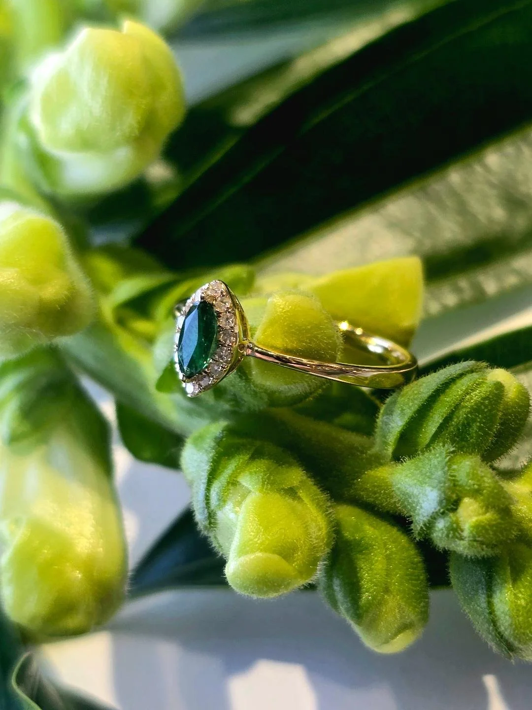 Side view of a yellow gold marquise emerald ring with a diamond halo on green leaf background