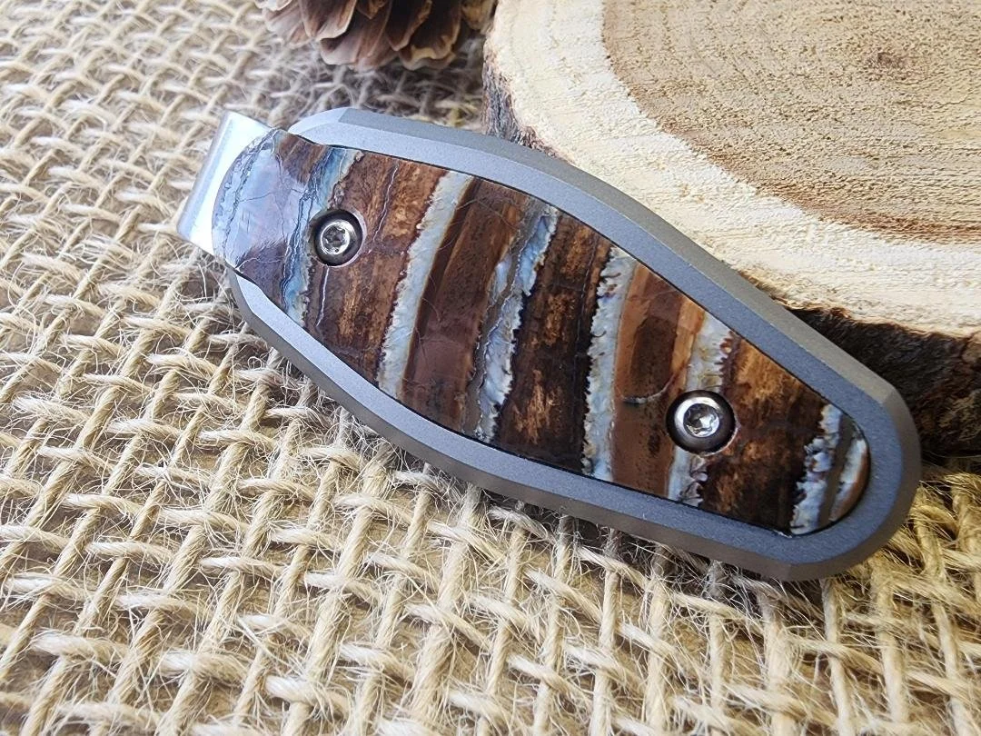 Titanium Mammoth Tooth Money Clip