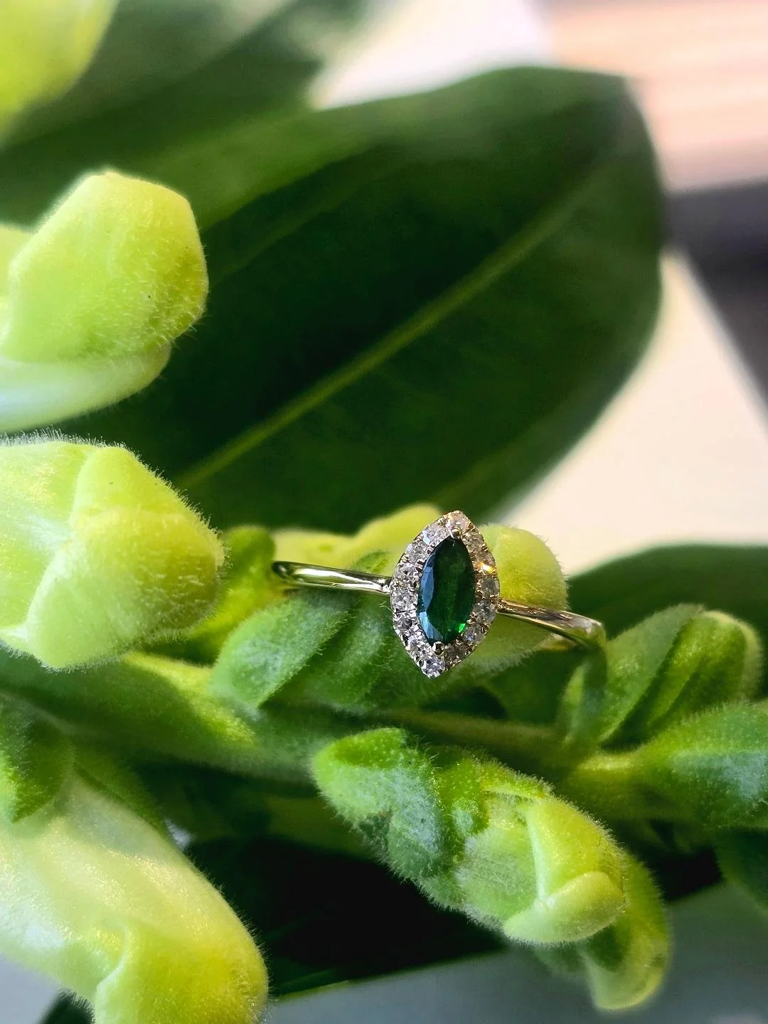 Front view of a yellow gold marquise emerald ring with a diamond halo on green leaf background