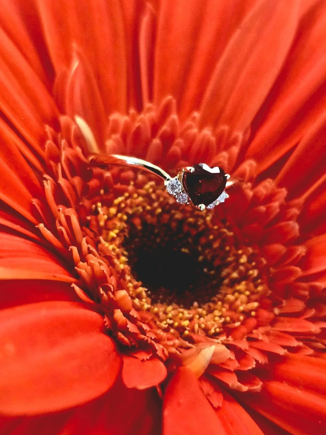 Side view of a yellow gold heart garnet and diamond ring on burnt orange flower
