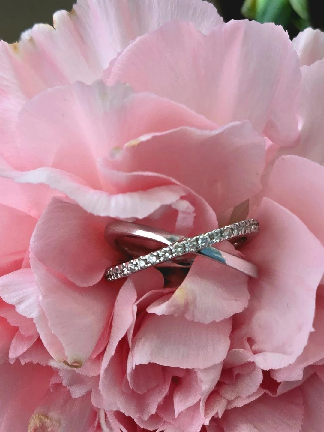 Angled view of white gold crisscross ring set in a pink carnation with small white flowers at the top