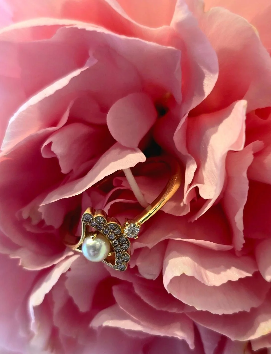 Side view of yellow gold pearl ring in a pink carnation
