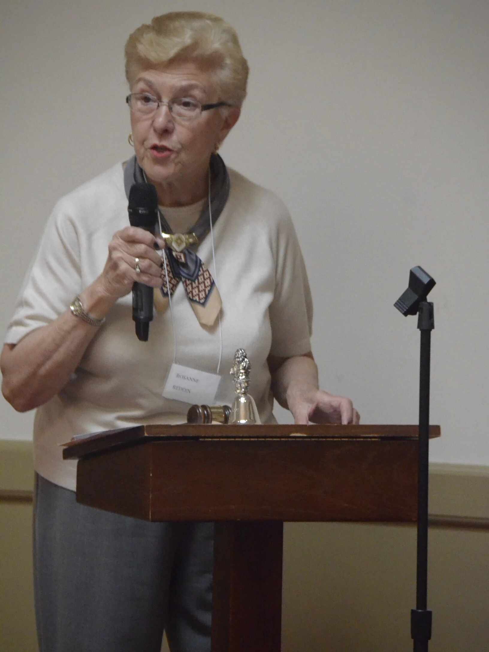 April 15th Monthly Meeting:  Rosanne Reddin, President, welcomes members and guests