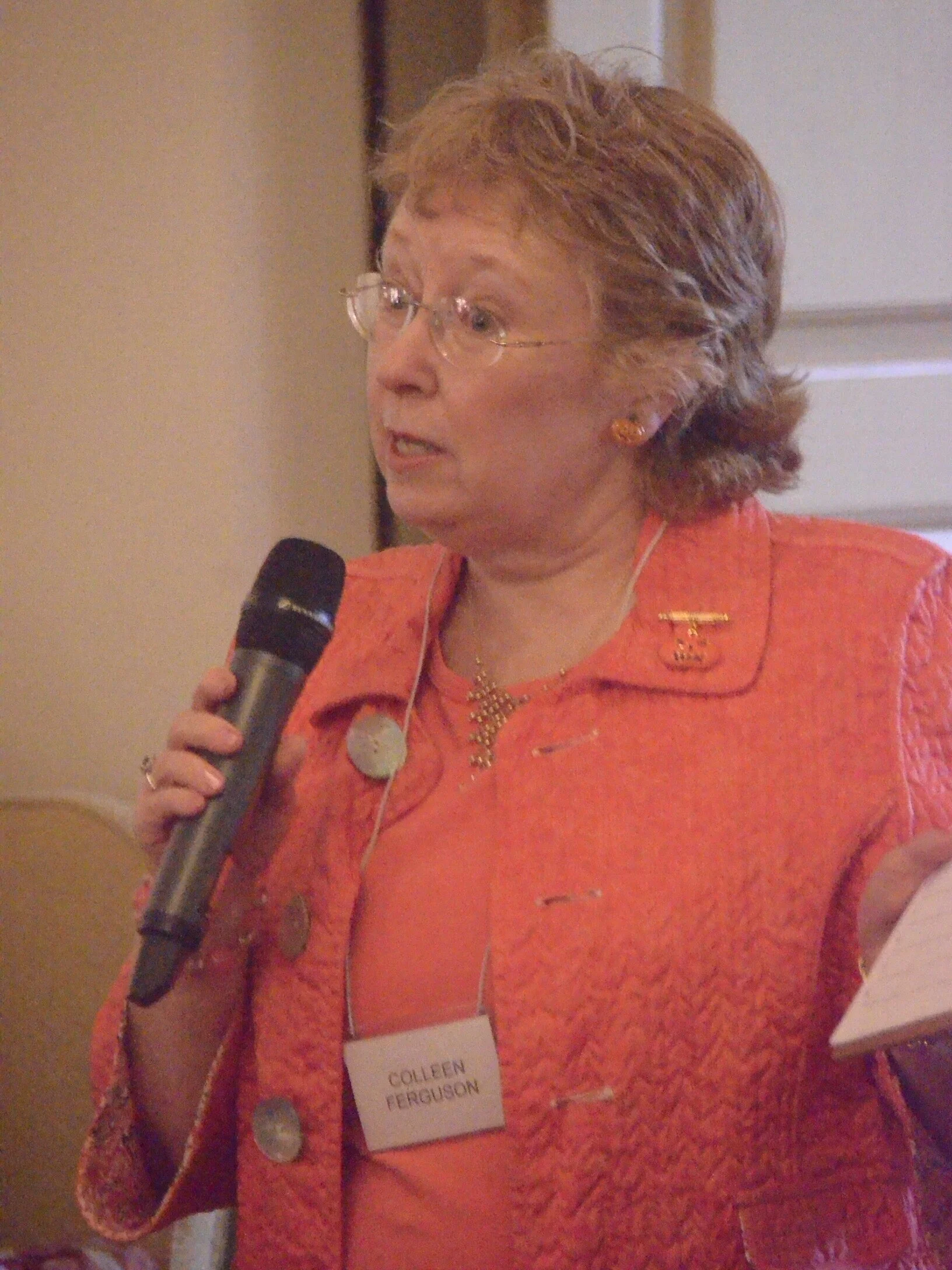 Colleen Ferguson, SB Committee Member, speaks about SB Committee activities
