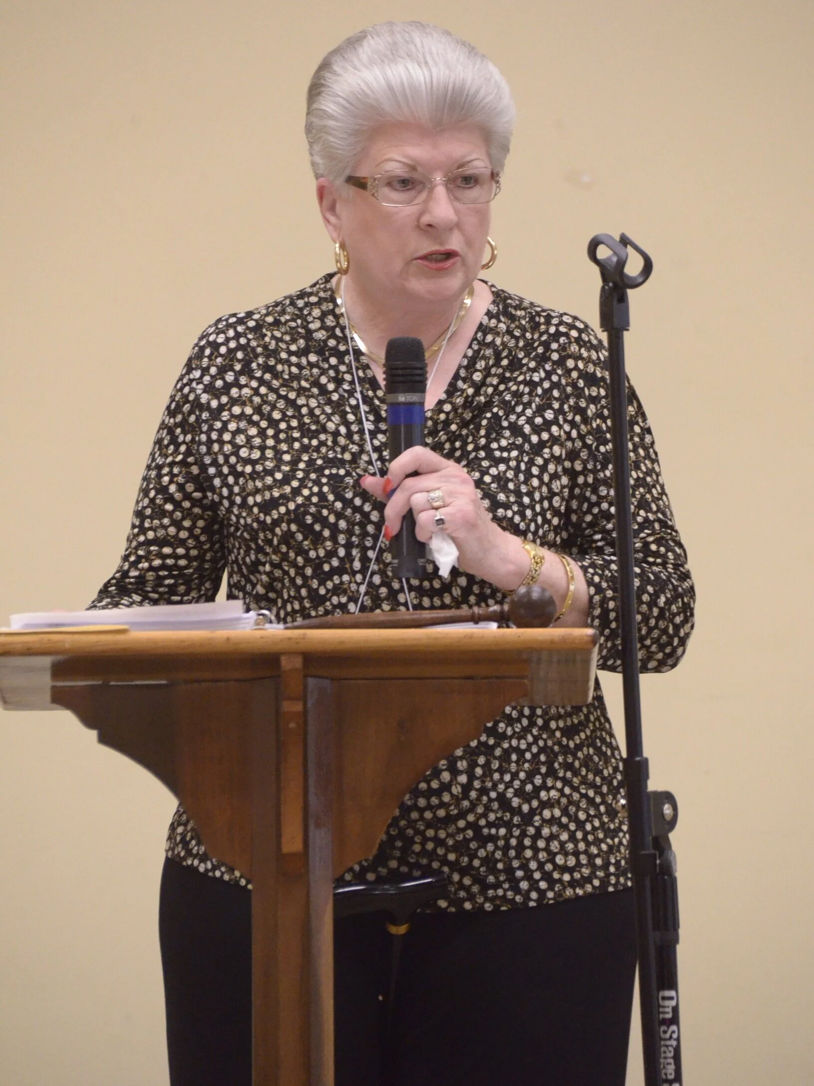 March 15th Monthly Meeting: Donna Herman, President, welcomes WMC members and guests