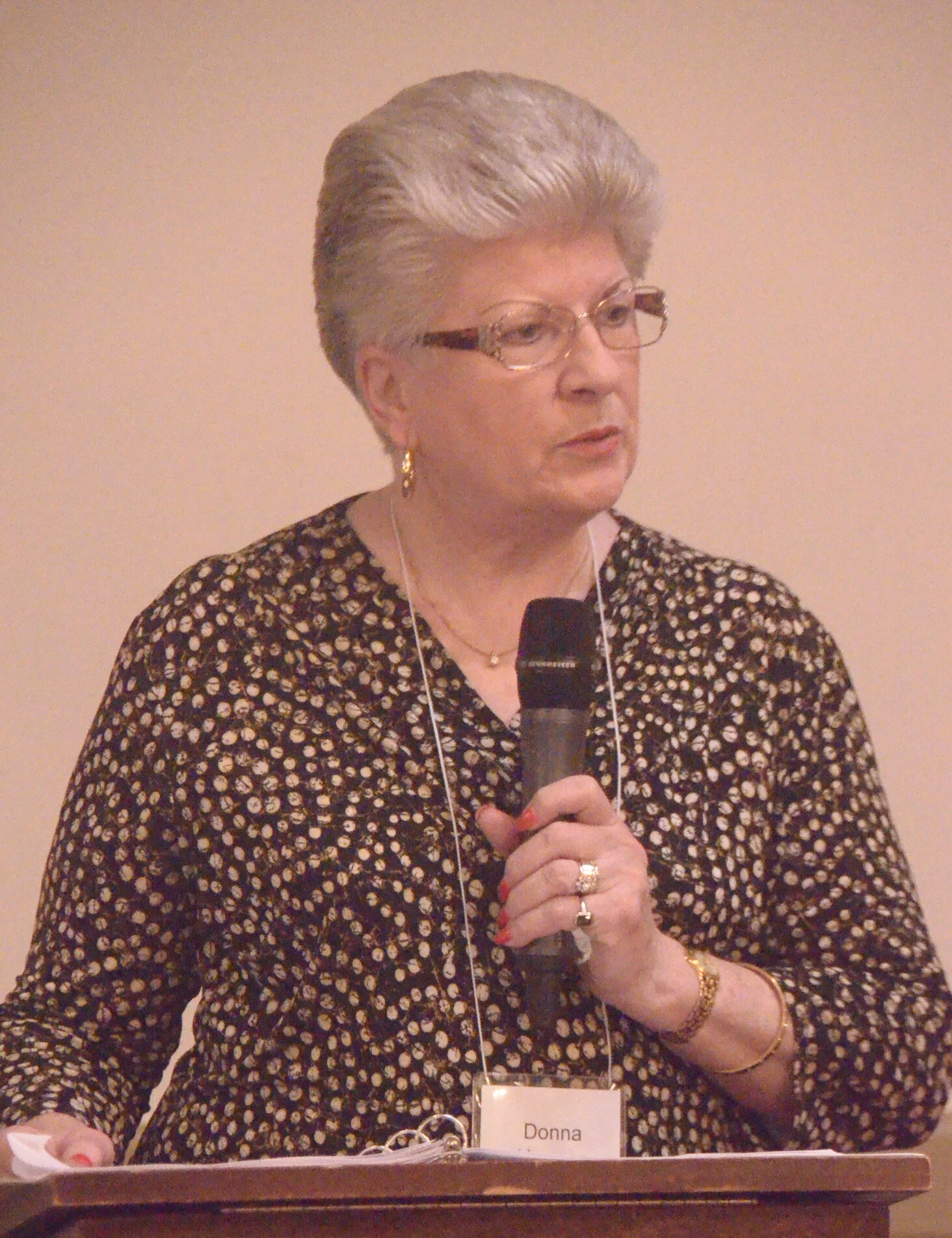 Donna, President, welcomes WMC members and guests