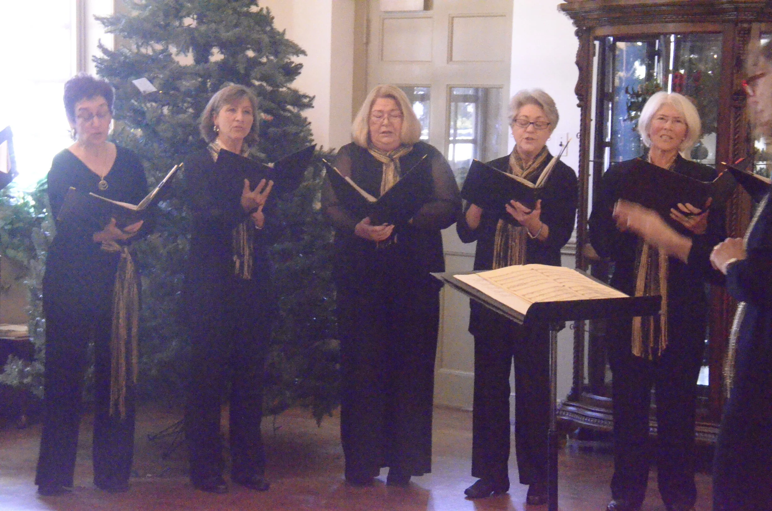 Nov 16th:  WMC presents the Williamsburg Women's Chorus Choraliers