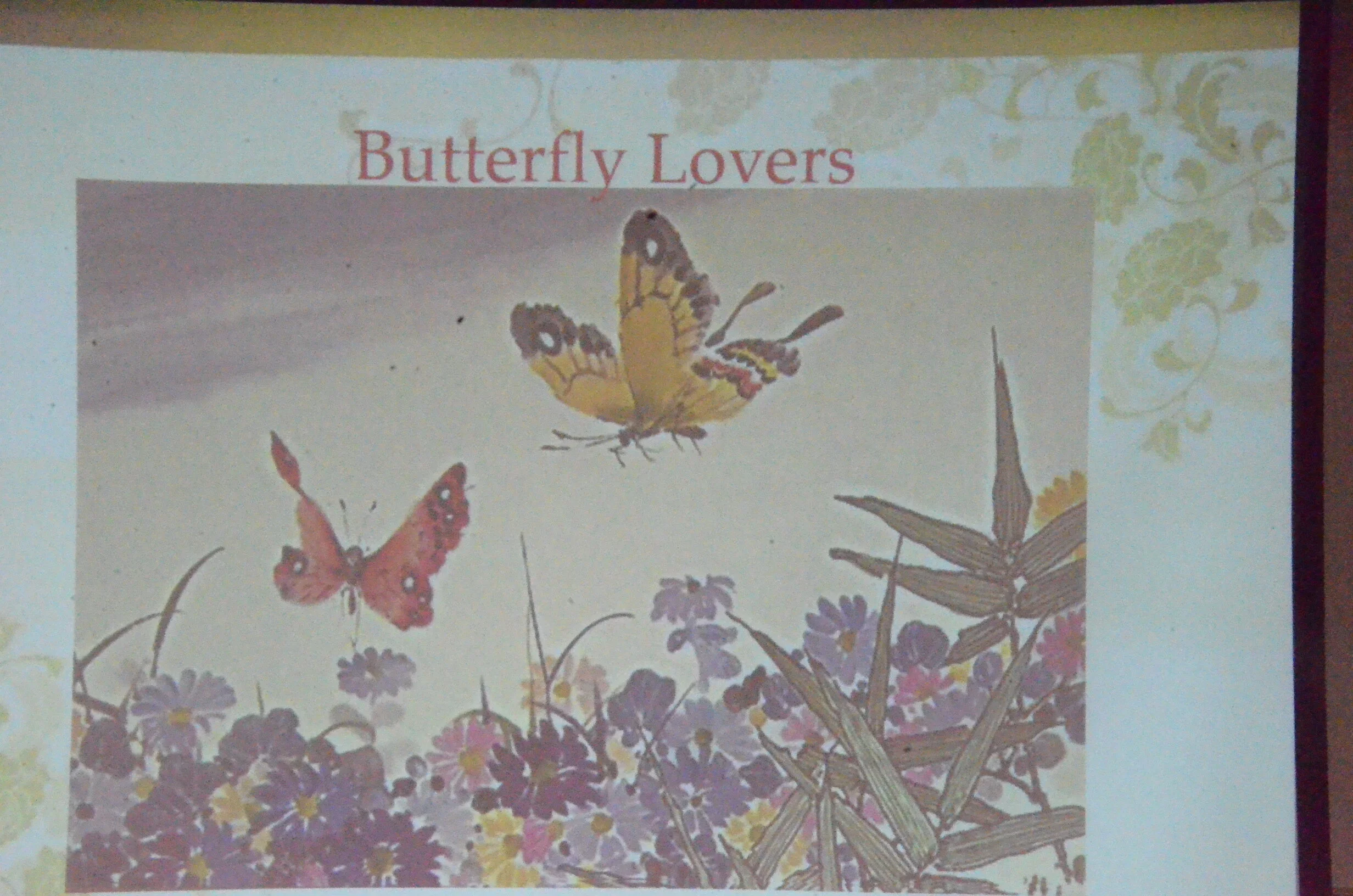 Butterfly Lovers