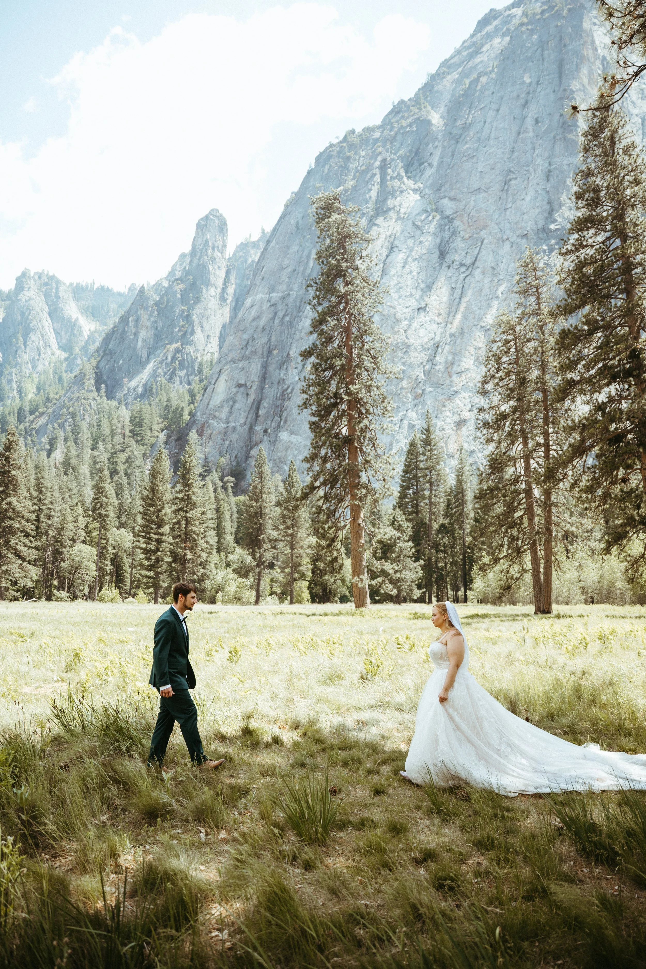 A bride and groom standing in a grassy clearing in a forest with tall pine trees and mountains in the background.