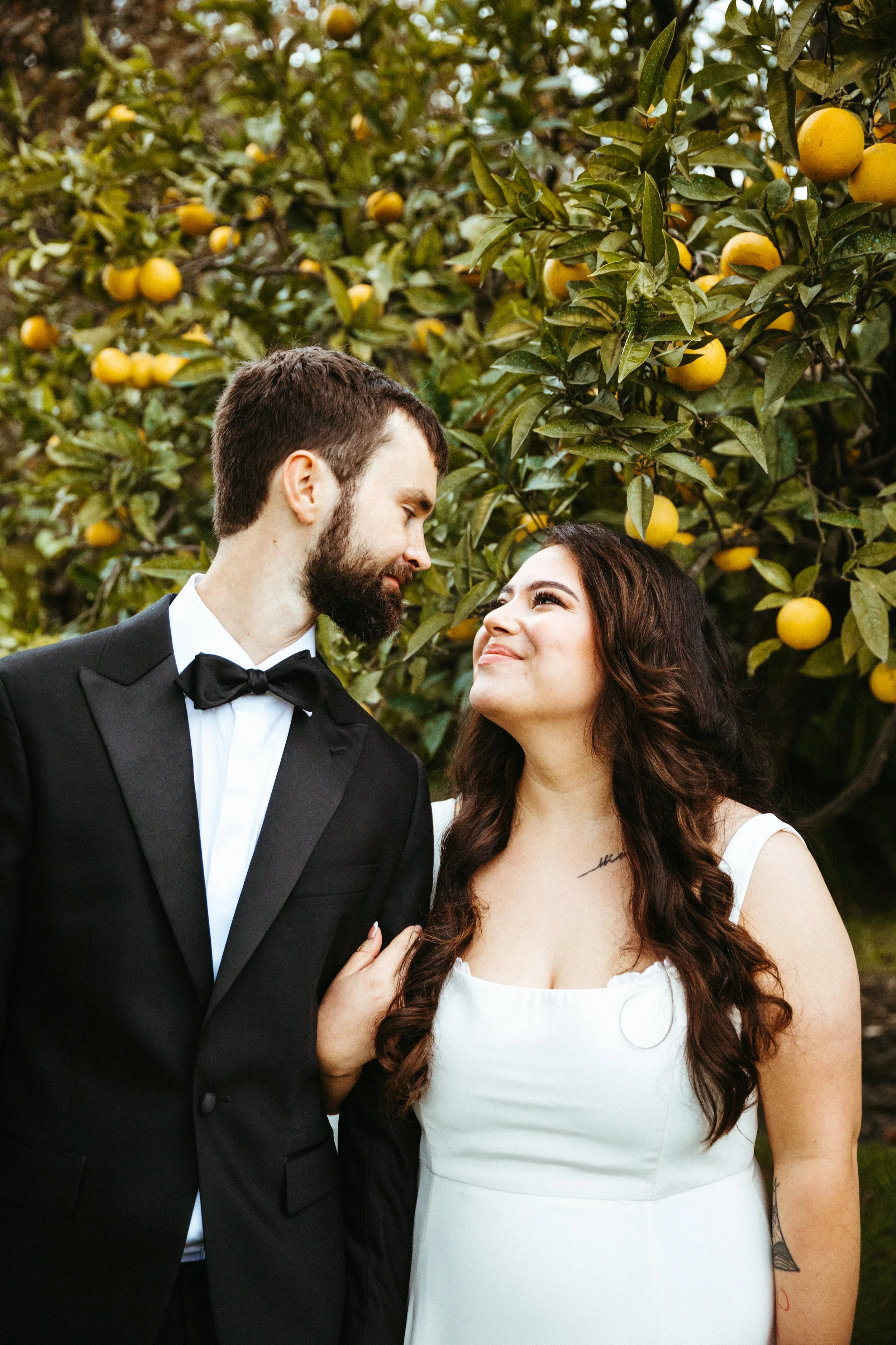 A couple dressed in wedding attire standing close to each other, with a lemon tree filled with ripe yellow lemons in the background. The man is in a black tuxedo with a bow tie, and the woman is in a white dress with long, dark curly hair.
