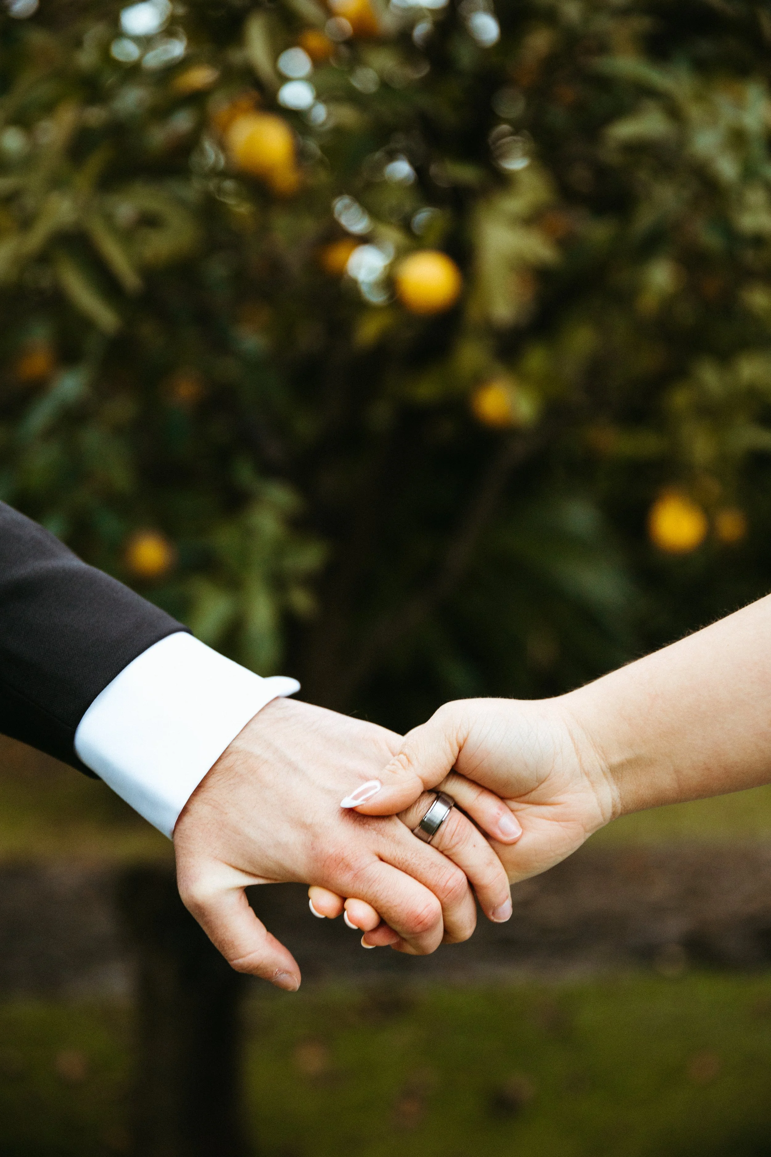 Two people holding hands in a handshake, one wearing a wedding band, with a blurry background of lemon trees.
