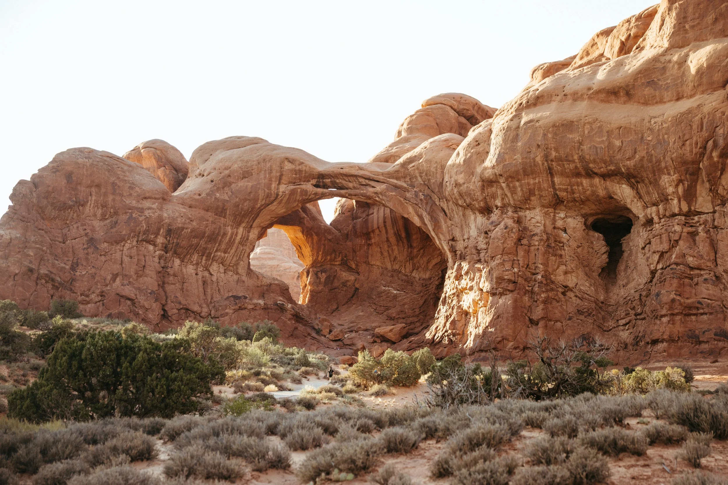 Red rock formations with natural arches and sparse desert vegetation under a clear sky. Arches National Park wedding photographer, Moab Utah elopement photographer, desert wedding photographer, St George elopement photographer