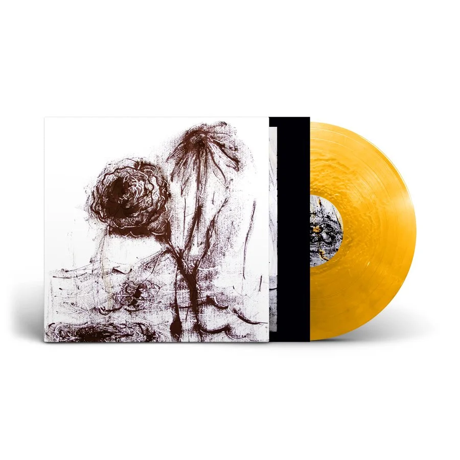 basinski-sorriws-coloured-vinyl.jpg