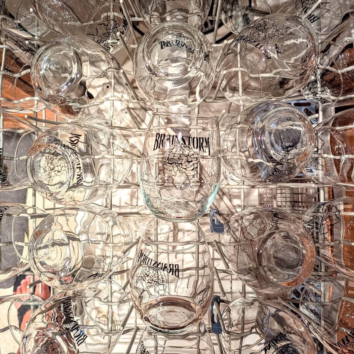 Why is our dishwasher so full of Brainstorm Cellars glassware?! We can't legally tell you! If you want to know, sign up for our Pour Decisions email list!
Do you want the link?
#wawine #washingtonwine #smallproduction #smallbusiness #drinklocal #tr