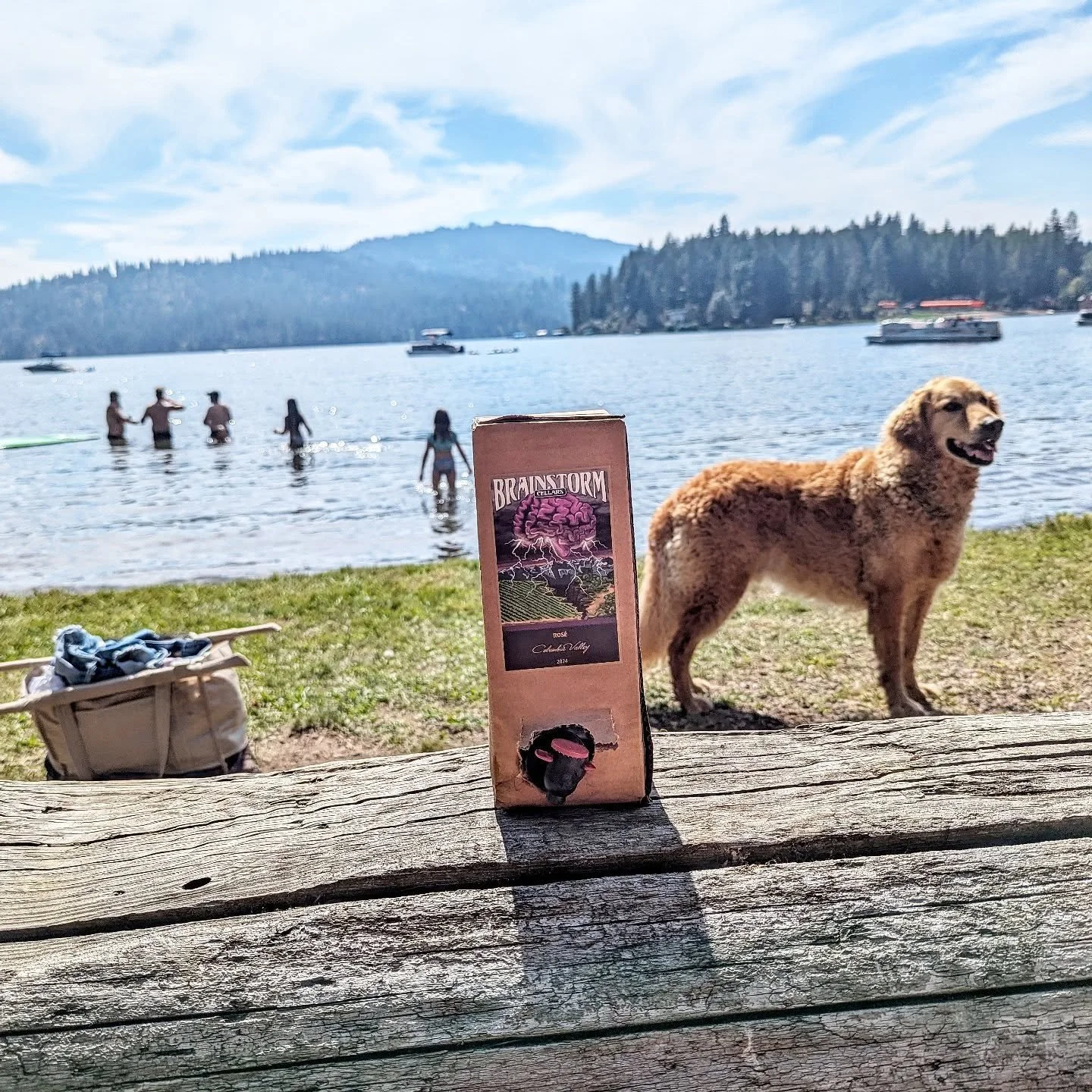 Our rosé isn't just for patios! Where are you taking Brainstorm Cellars rosé during the dog days of summer?