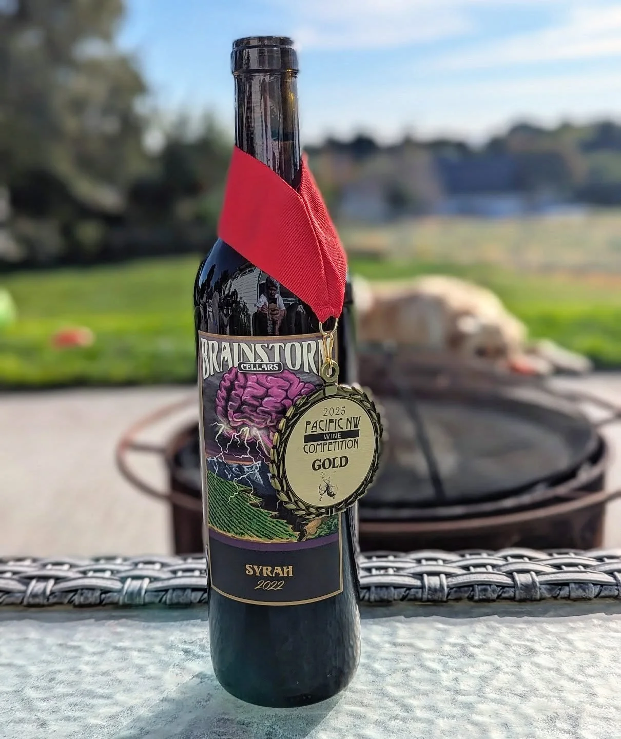 It's International Syrah day!! Celebrate with our award winning 2022 Syrah! 
*Disclaimer: This is NOT an Olympic gold medal. Buuut... It should be 😉