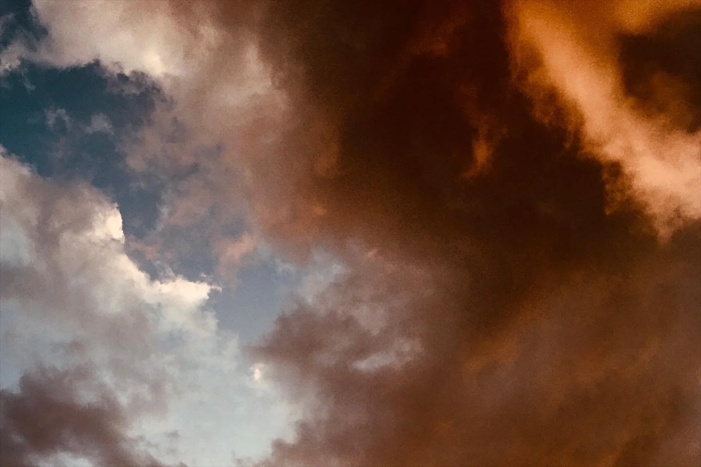 One of the many great things about Ireland are the skies. Always different, always interesting, I donʻt think I could live in a country with clear blue skies for too long. 
I am slowly working on filling my house with plants, but what it needs now is