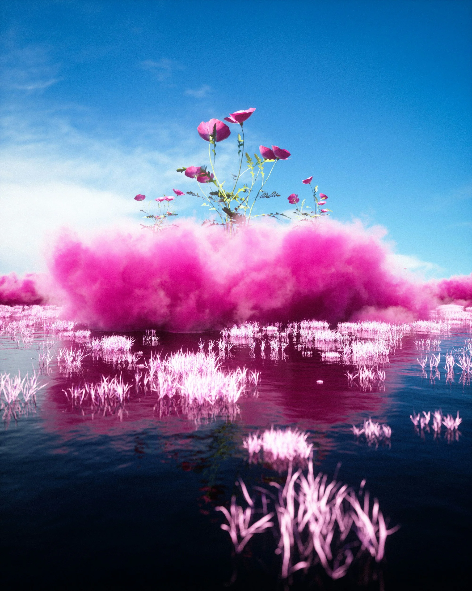 Surreal landscape with pink flowers and large tree-like plants, pink clouds over water, blue sky.
