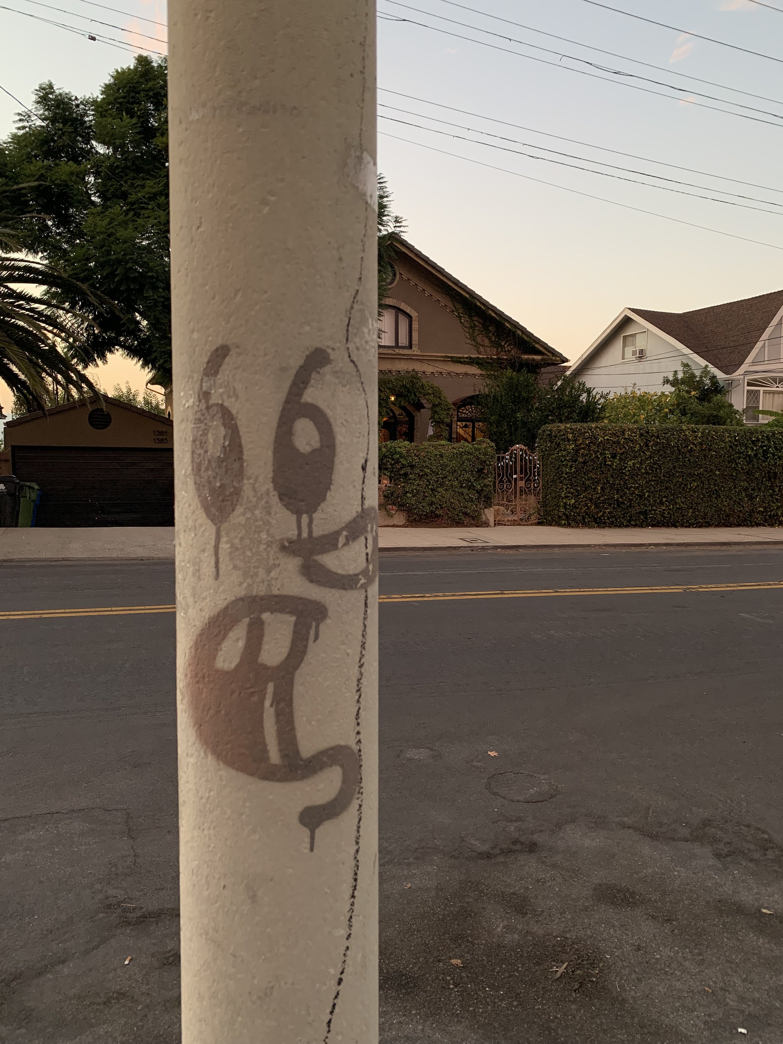 IMG_4314.jpeg