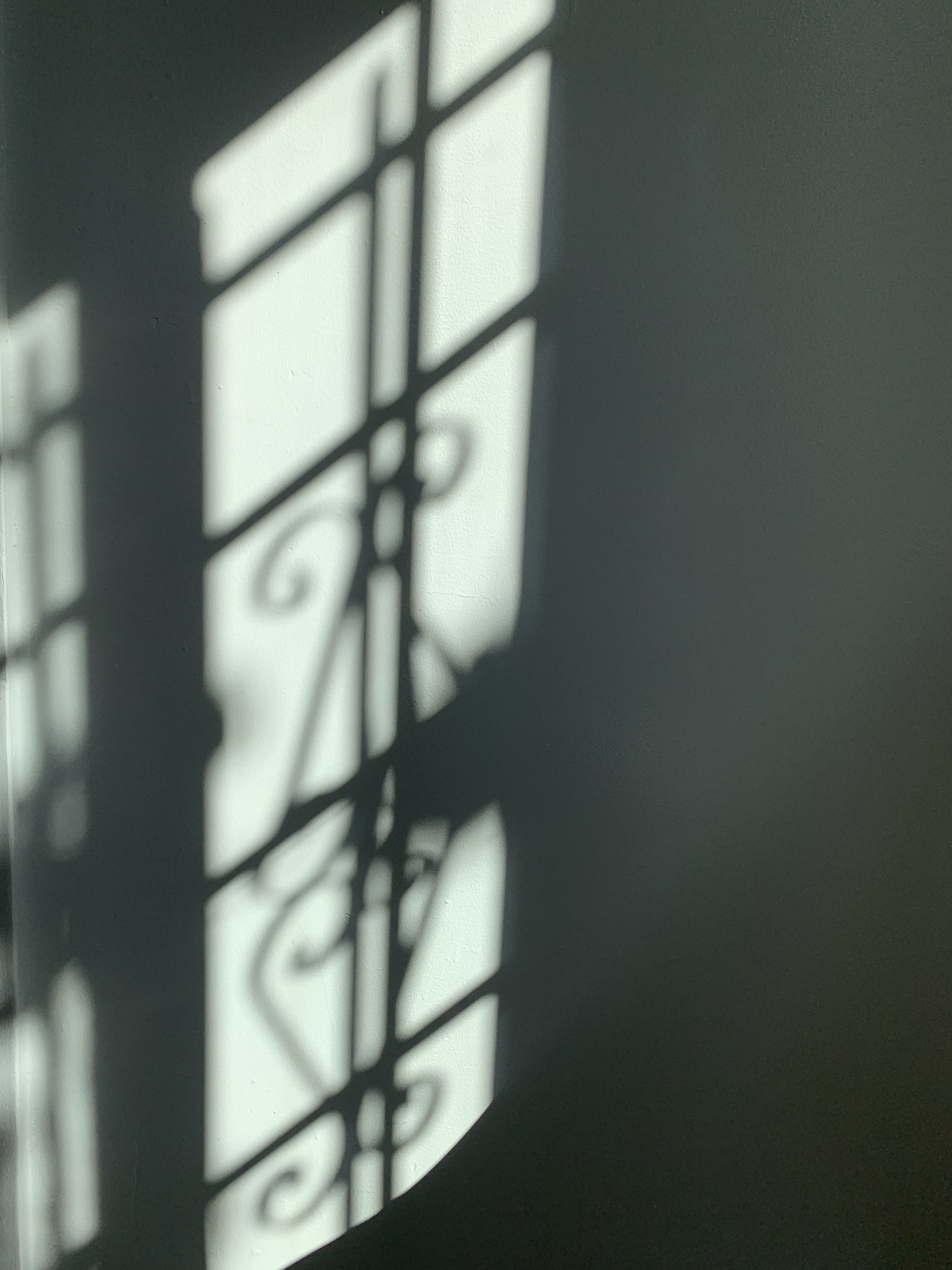 IMG_4083.jpeg