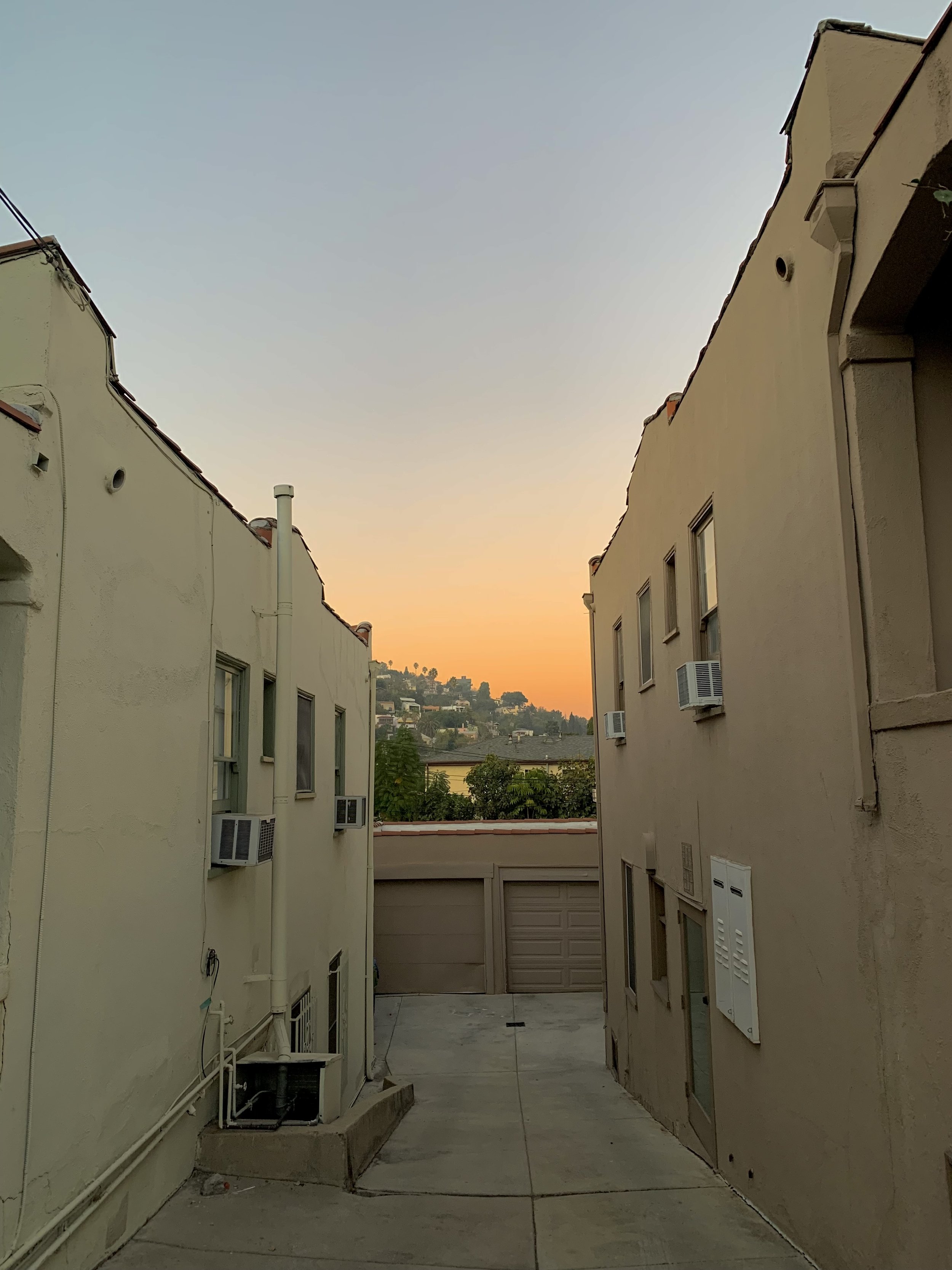 IMG_4784.jpeg