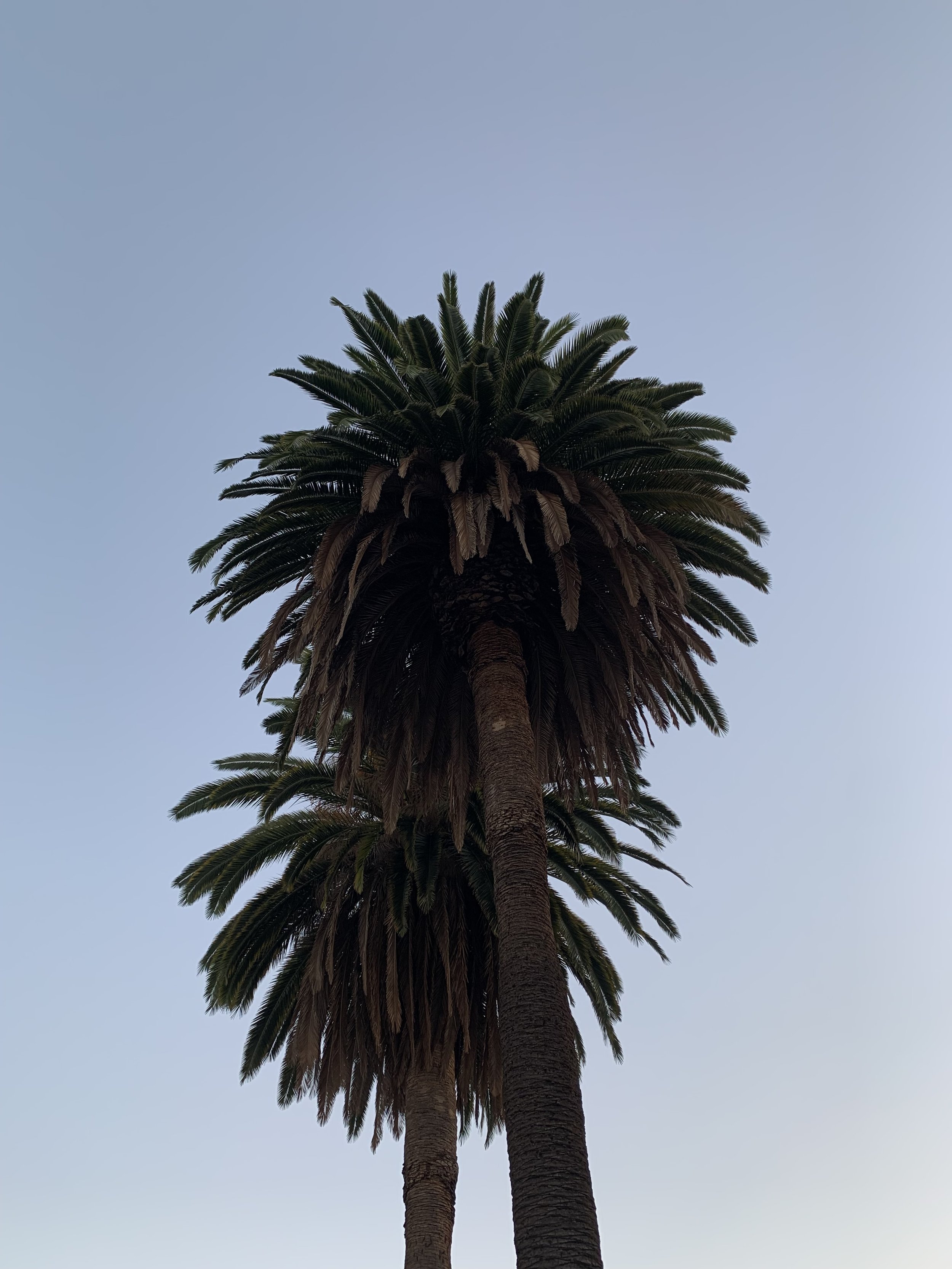 IMG_4338.jpeg