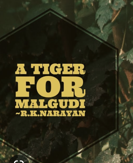 A tiger’s life