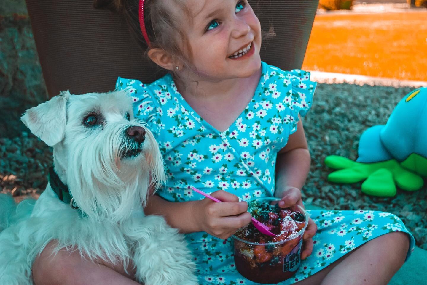 This Weeks Locations!!🤩
★ ★ ★
The Local Berry is for EVERYONE 
(even pups😉). Celebrate this holiday weekend with us by enjoying the most delicious &amp; reFRESHing a&ccedil;a&iacute; bowls🍓 
&rarr; This week you can find us&hellip;

☆ Thursday 7/1