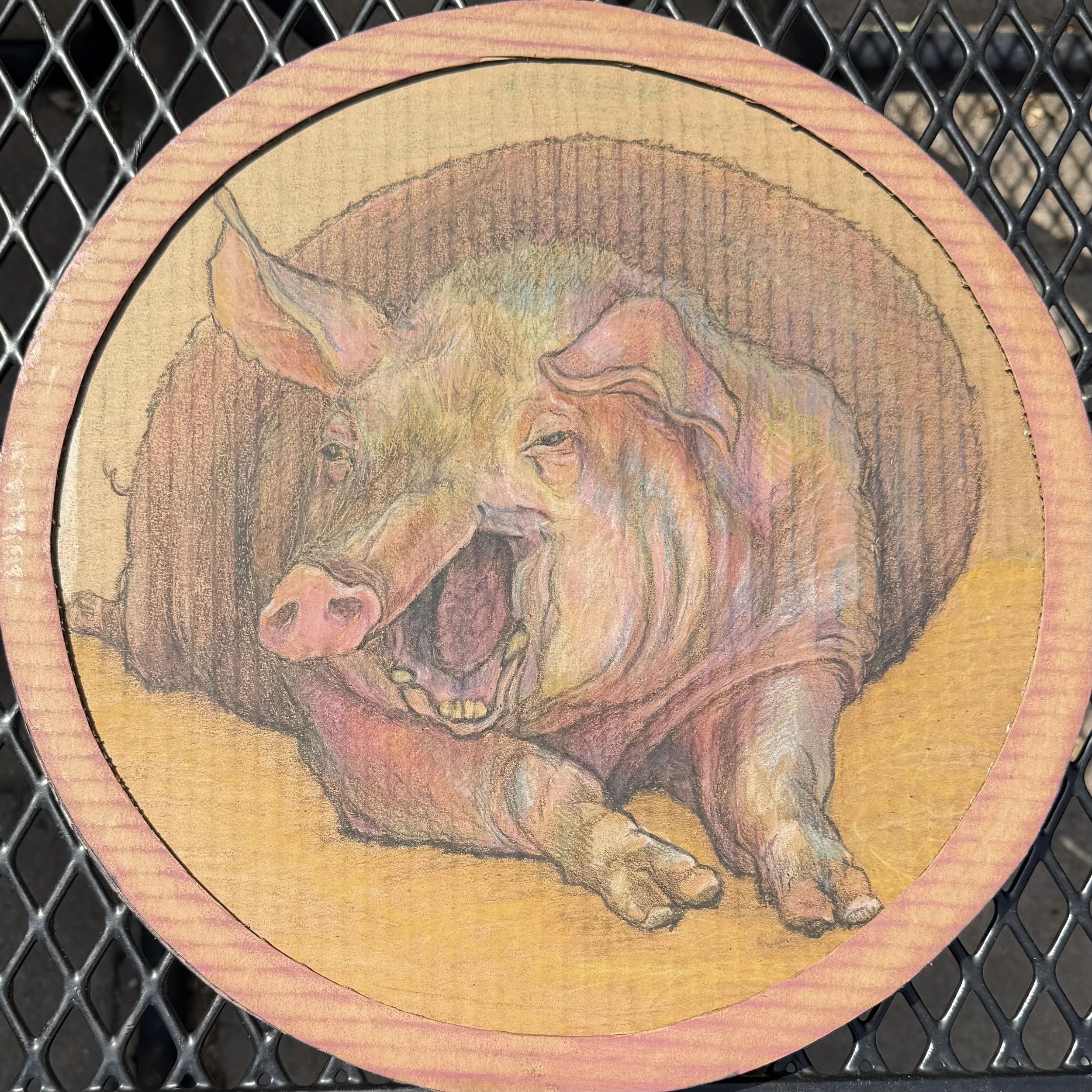 Kickball team mascot--
Crayon on cardboard 