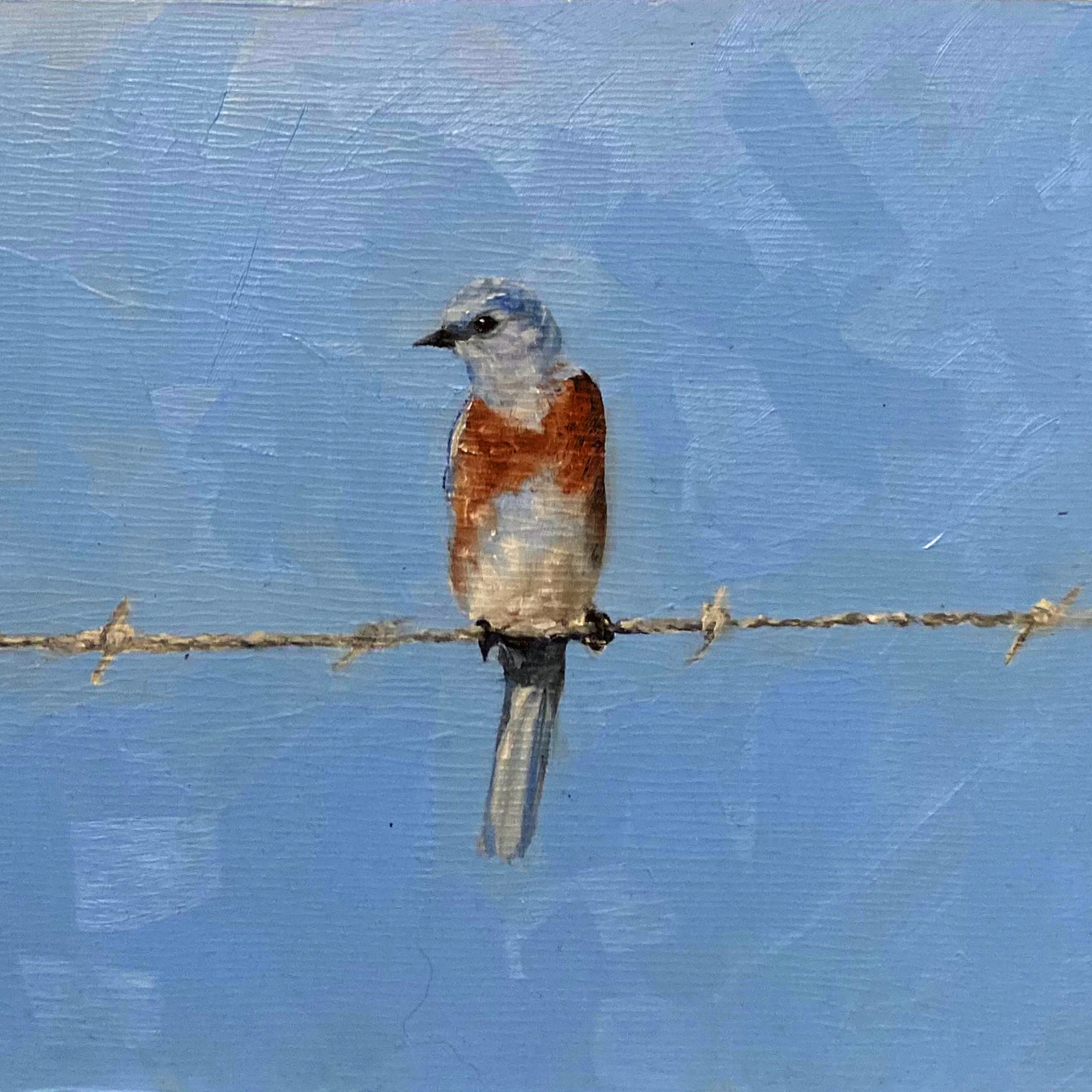bird V  square edit.jpg