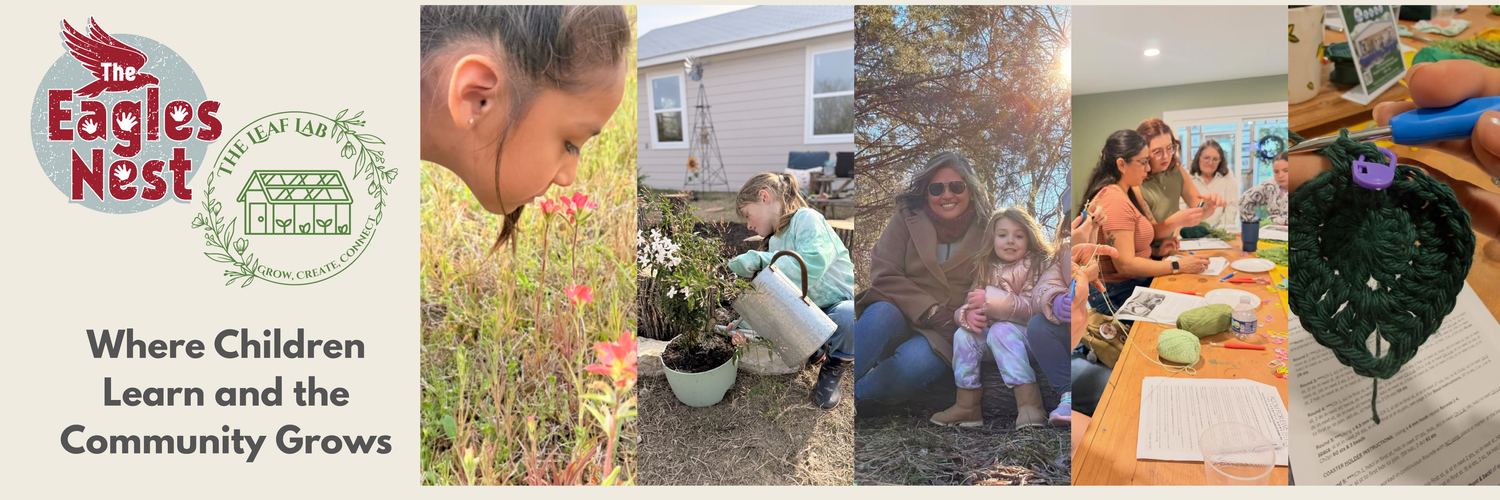 The Eagle's Nest Play to Learn Center &amp; Microschool