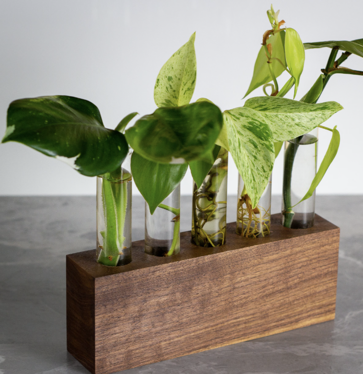 Screenshot 2026-03-12 at 4.29.37 PM.png