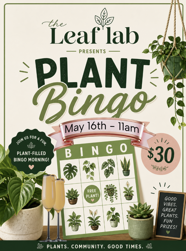 Plant Bingo
