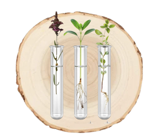 Propagation Class