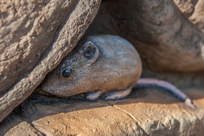 ps-ps_log-stack-climber-mouse_screen.jpg