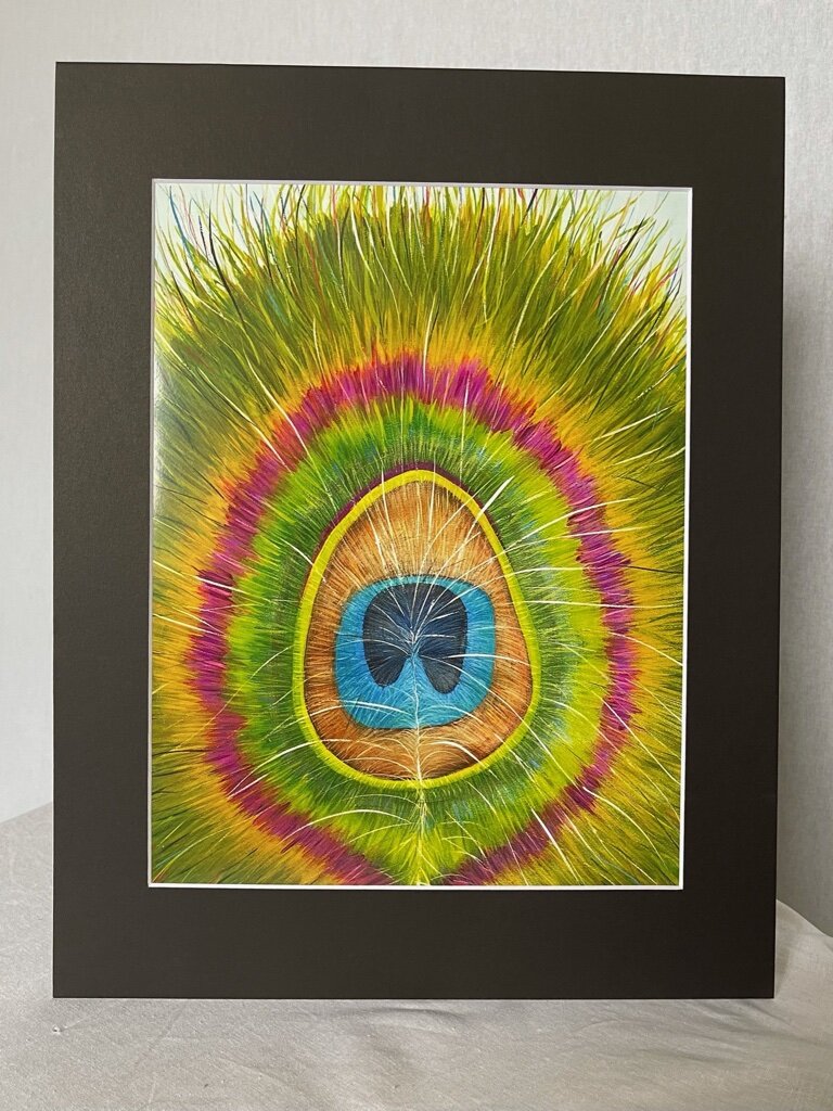 Peacock.JPG