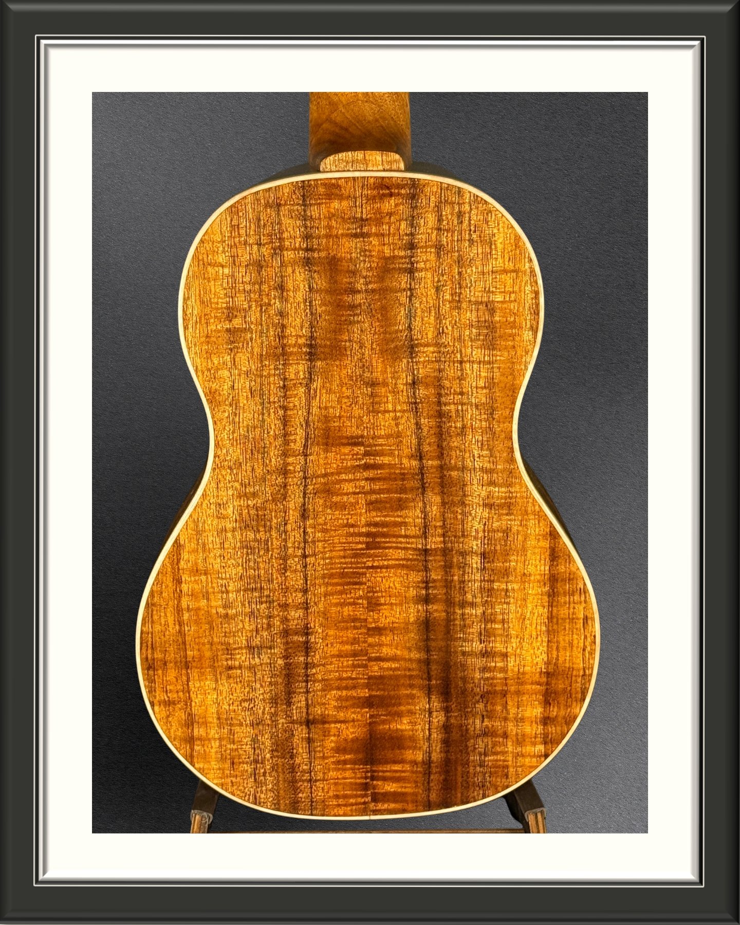 Back of the body of a concert ukulele in Hawaiian Koa