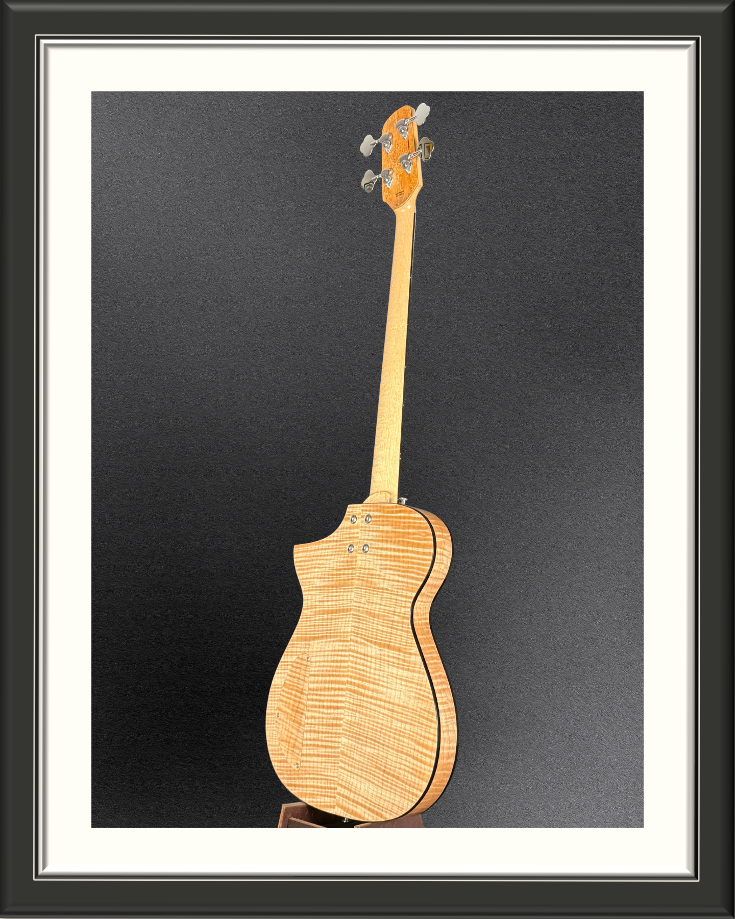 BassElectric_Cuyler_fullbackangle.png