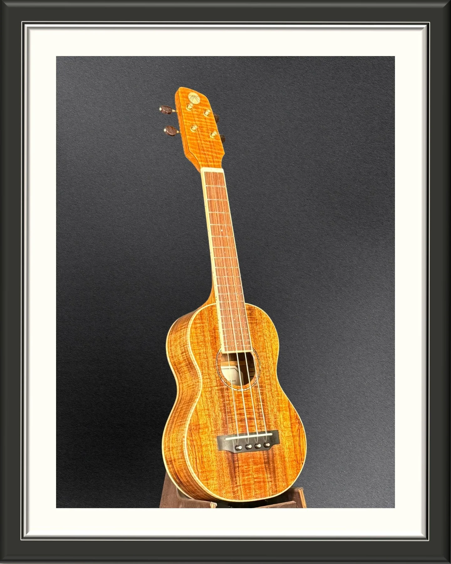 Front, facing right, of a MachMachines concert ukulele in Hawaiian Koa