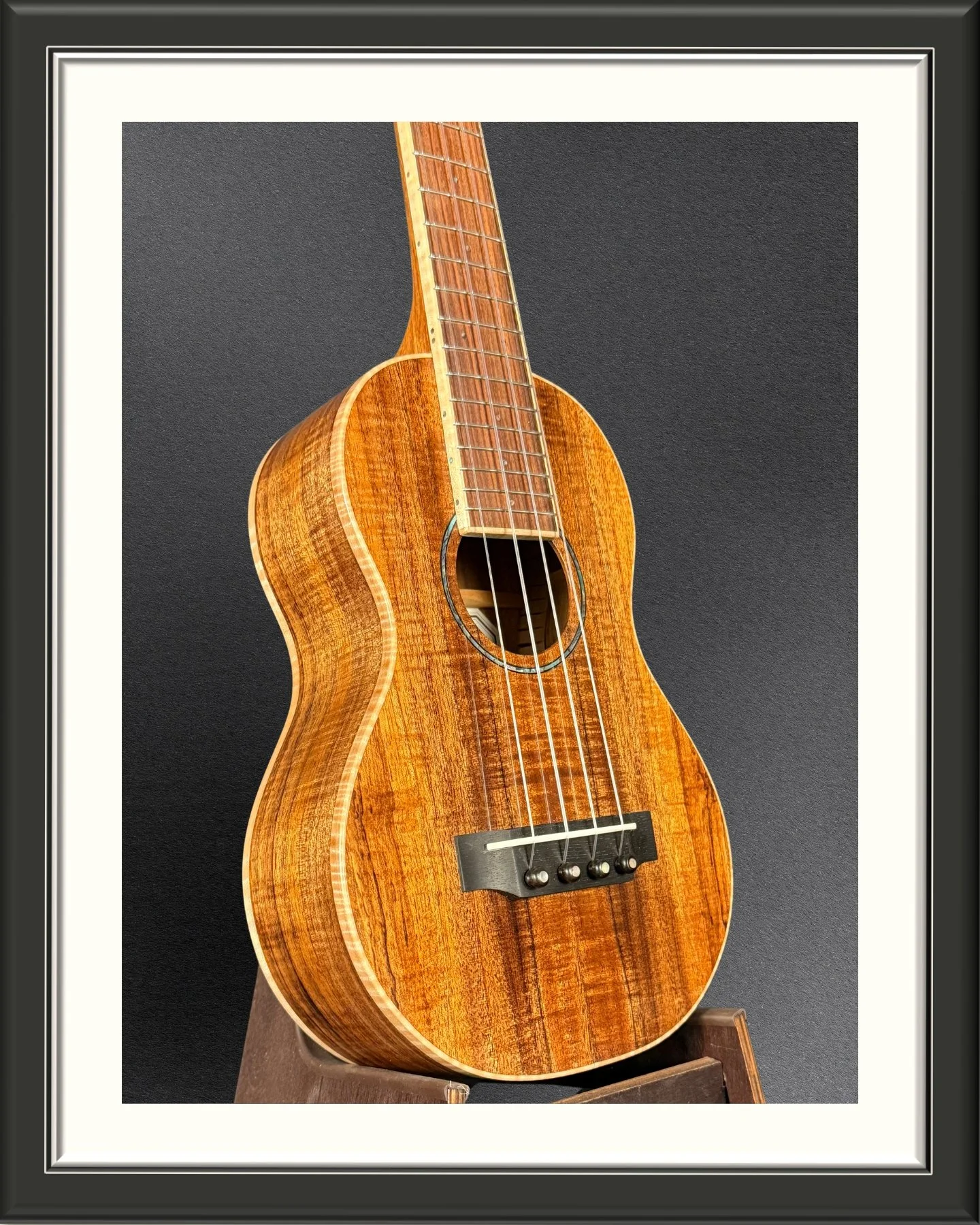 Framed image of the body, facing right, of a MachMachines concert ukulele made with Hawaiian Koa