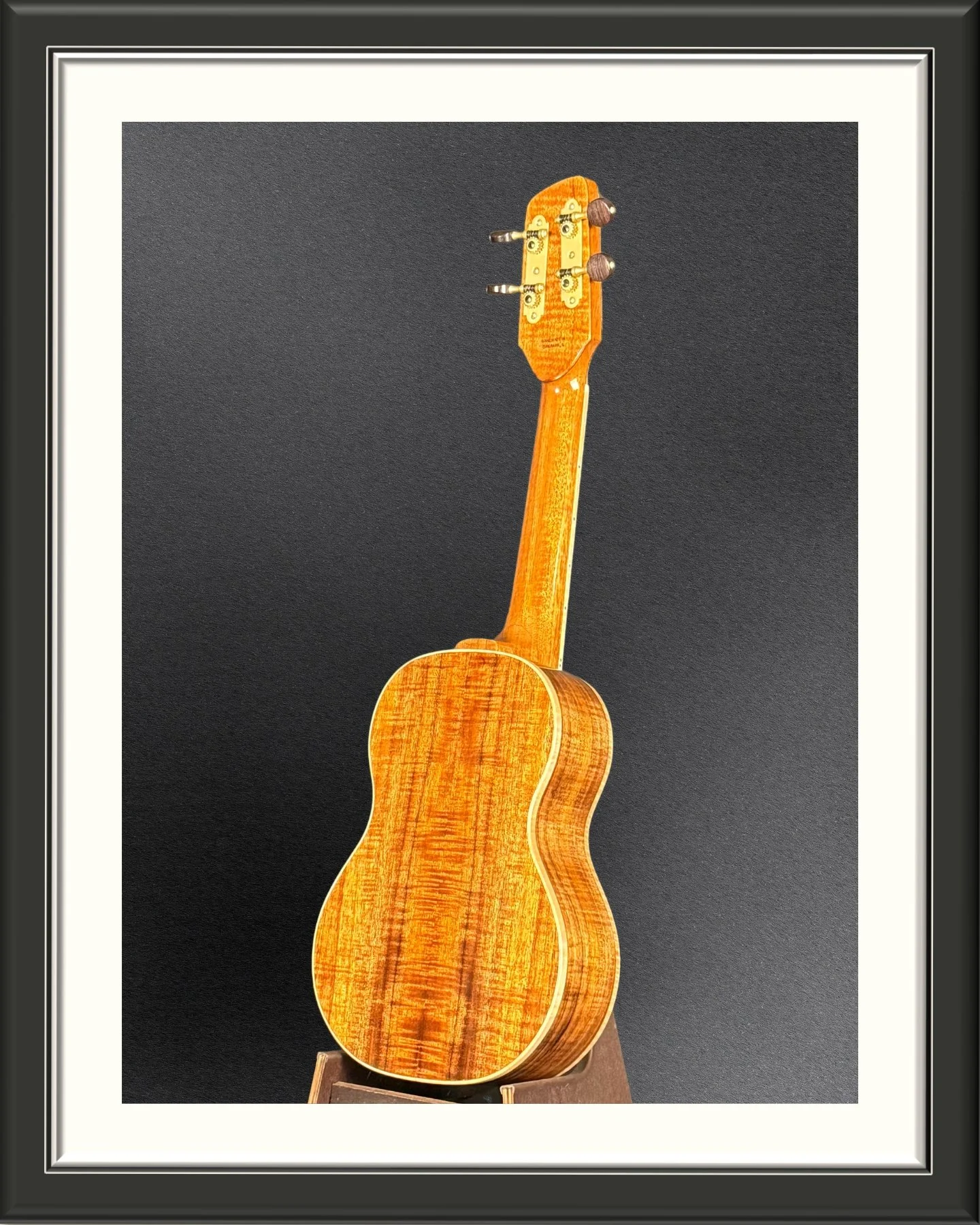Back, facing left, of a MachMachines concert ukulele in Hawaiian Koa