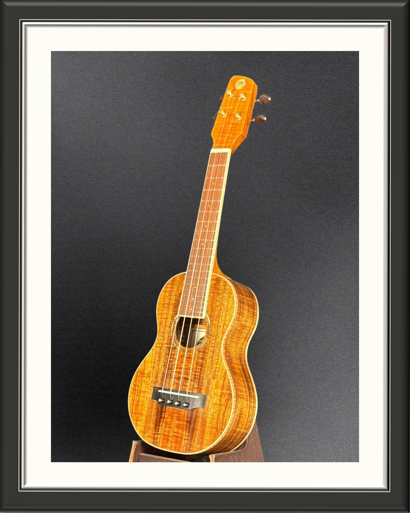 Front, facing left, of a MachMachines concert ukulele in Hawaiian Koa
