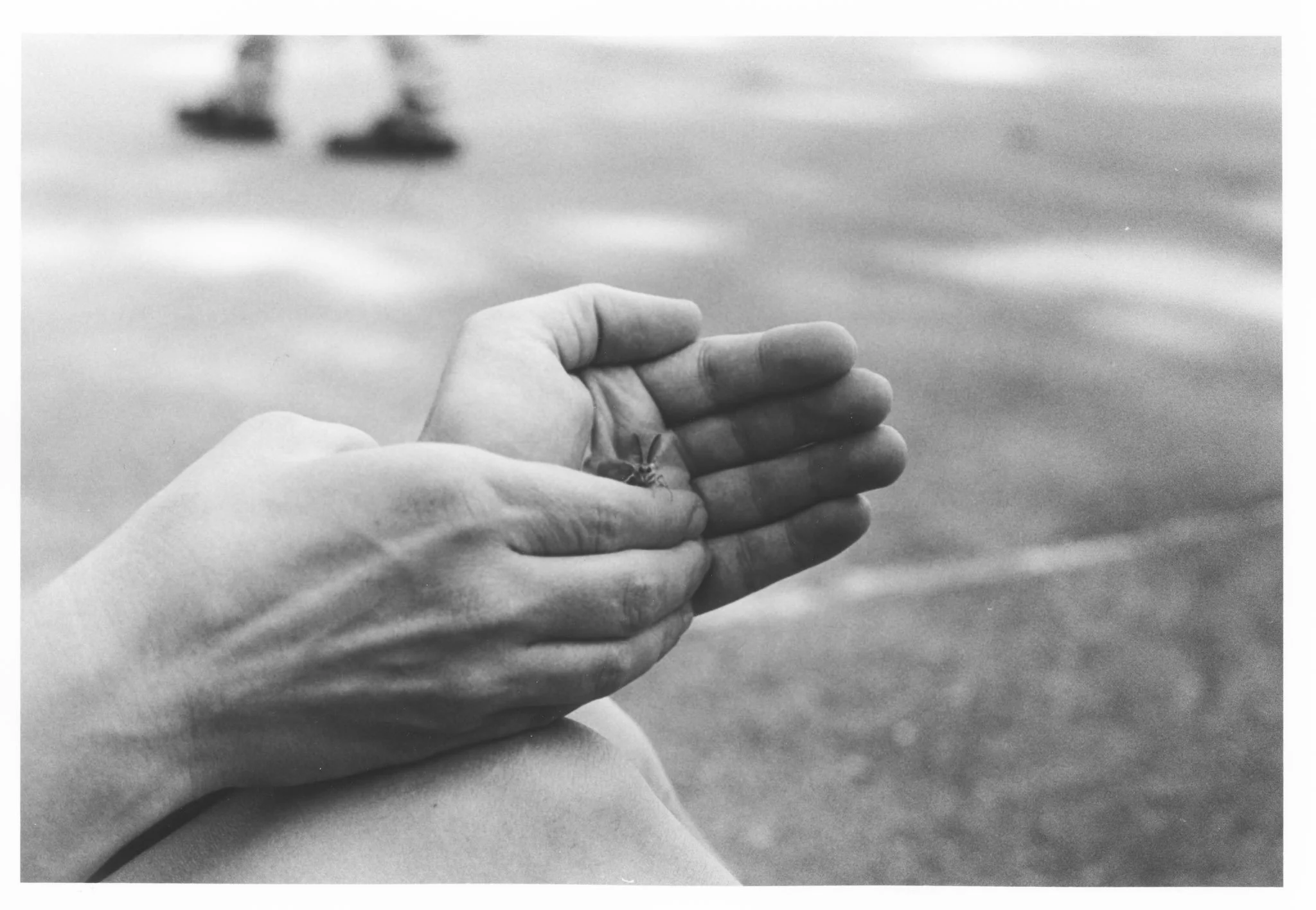 Tania Riccoboni_moth hand.jpg