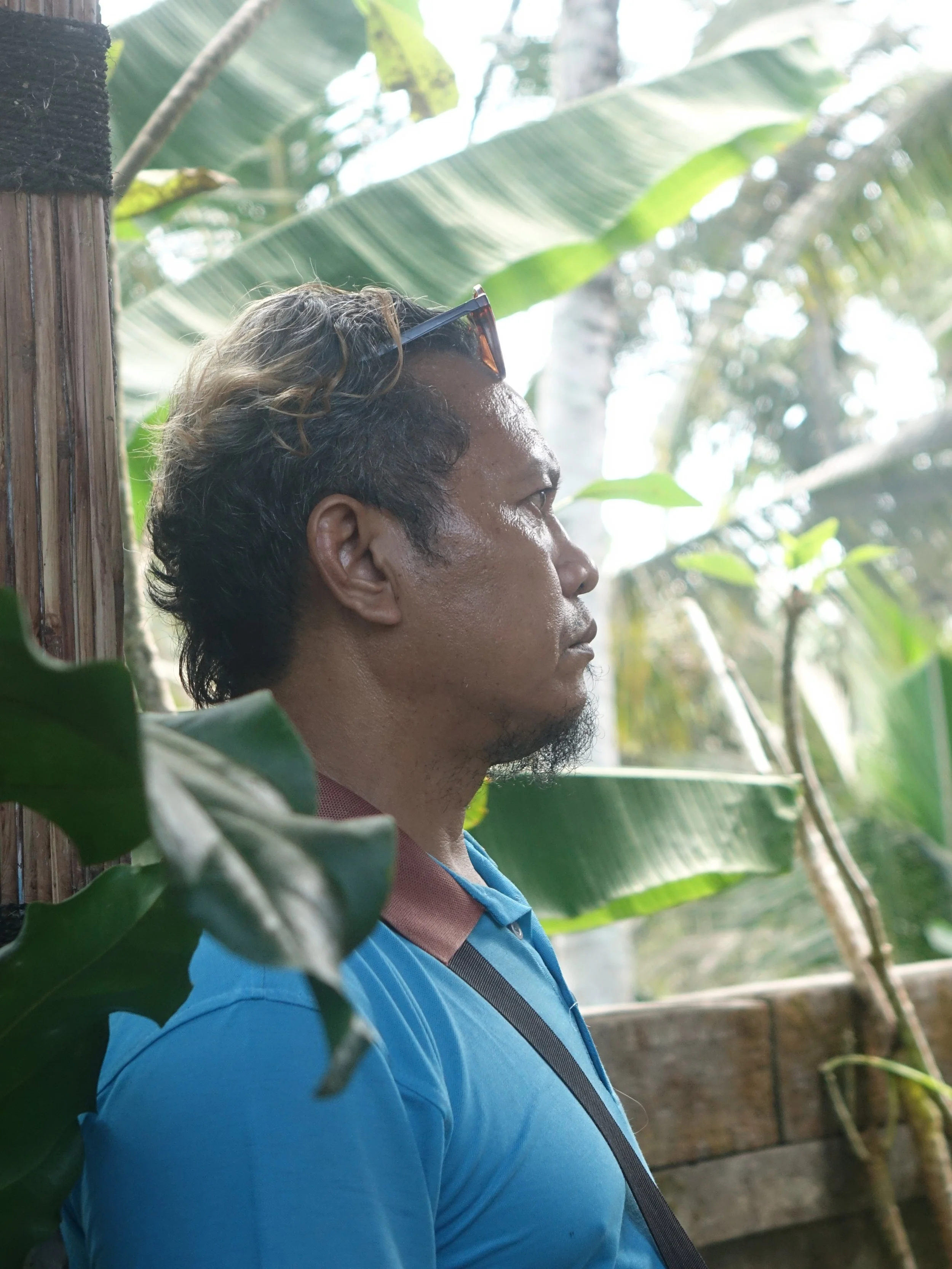 Dewa.jpg