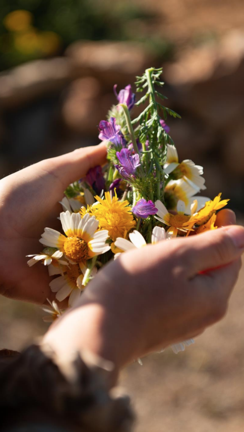 Screenshot 2025-12-01 at 17.34.34.png