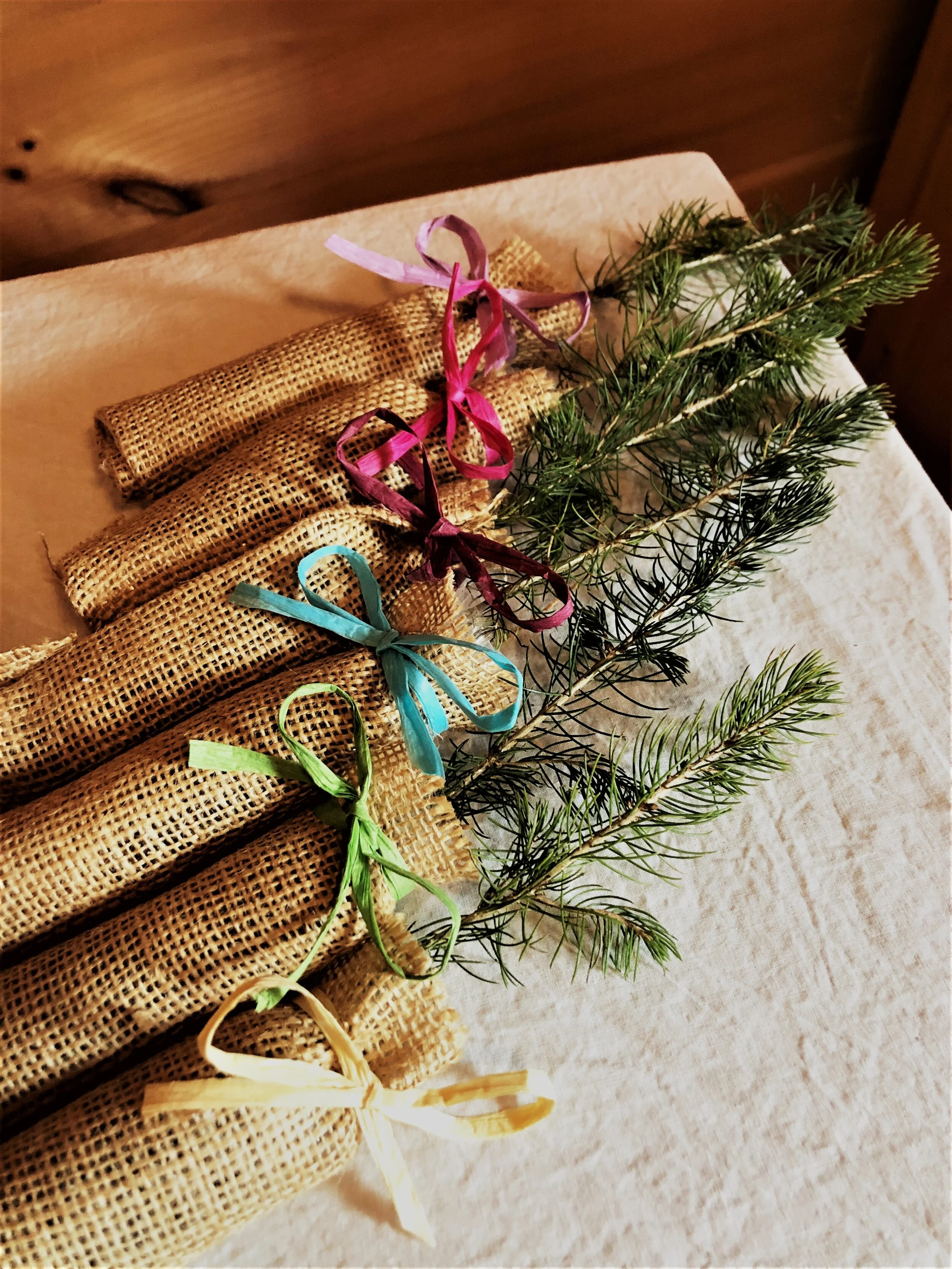 Tree Seedling Wrapped in Burlap with Raffia Ribbon — Windy Mountain Farm